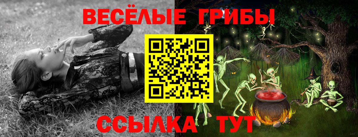 Псилоцибиновые грибы мухоморы Нижний Тагил