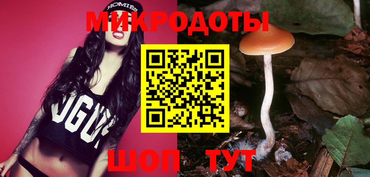 Псилоцибиновые грибы Cubensis  Псилоцибиновые грибы прущие грибы  Нижний Тагил  Вход с VPN 